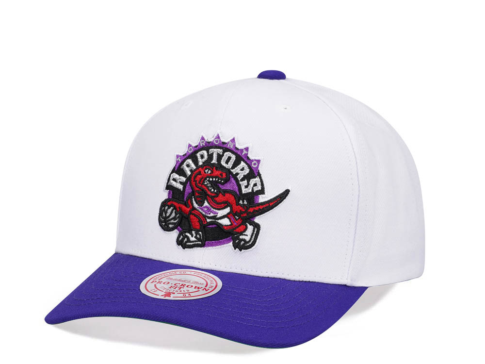 Mitchell & Ness Toronto Raptors Team Two Tone 2.0 Pro Snapback Hat