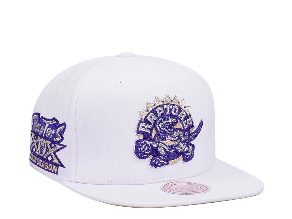 Mitchell & Ness Toronto Raptors 20th Anniversary Winter White Hardwood Classic Snapback Hat