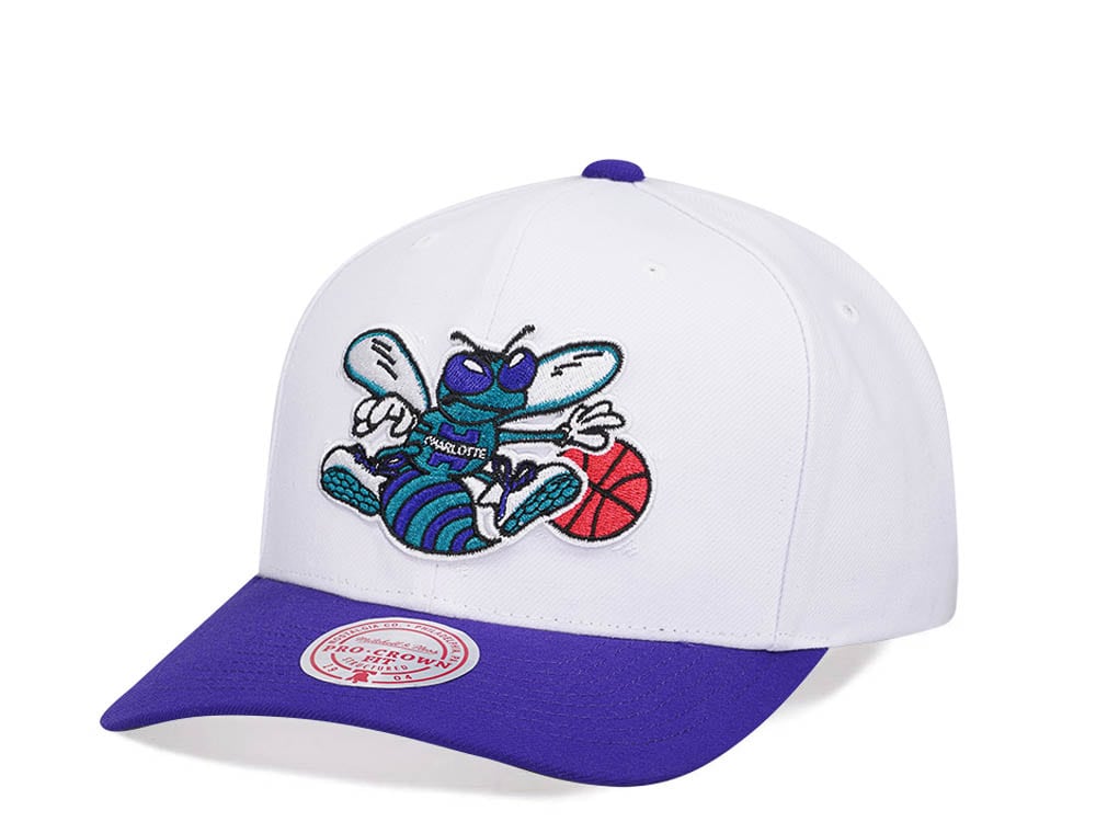 Mitchell & Ness Charlotte Hornets Team Two Tone 2.0 Pro Snapback Cap