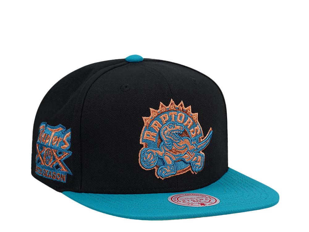 Mitchell & Ness Toronto Raptors 20th Anniversary Make Cents Black Two Tone Hardwood Classic Snapback Hat